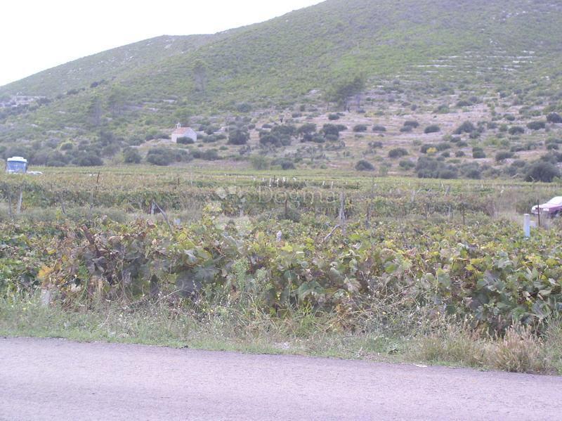 Zemljišče Brna, Smokvica, 39.541m2