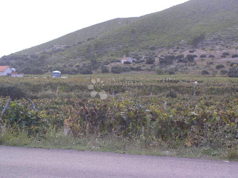 Zemljišče Brna, Smokvica, 39.541m2
