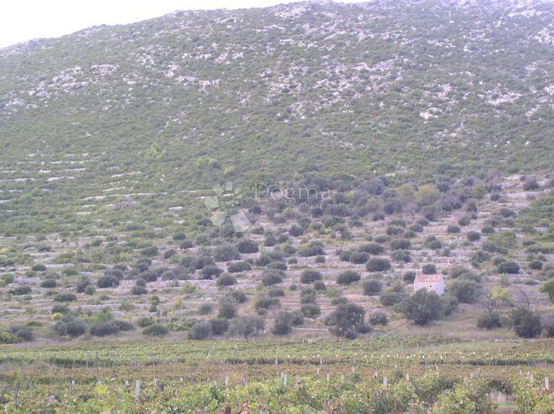 Zemljišče Brna, Smokvica, 39.541m2