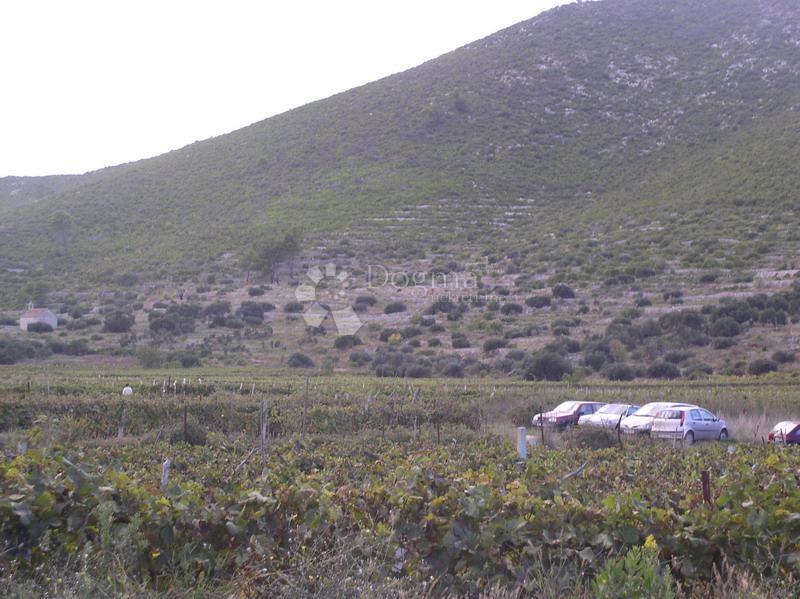 Zemljišče Brna, Smokvica, 39.541m2