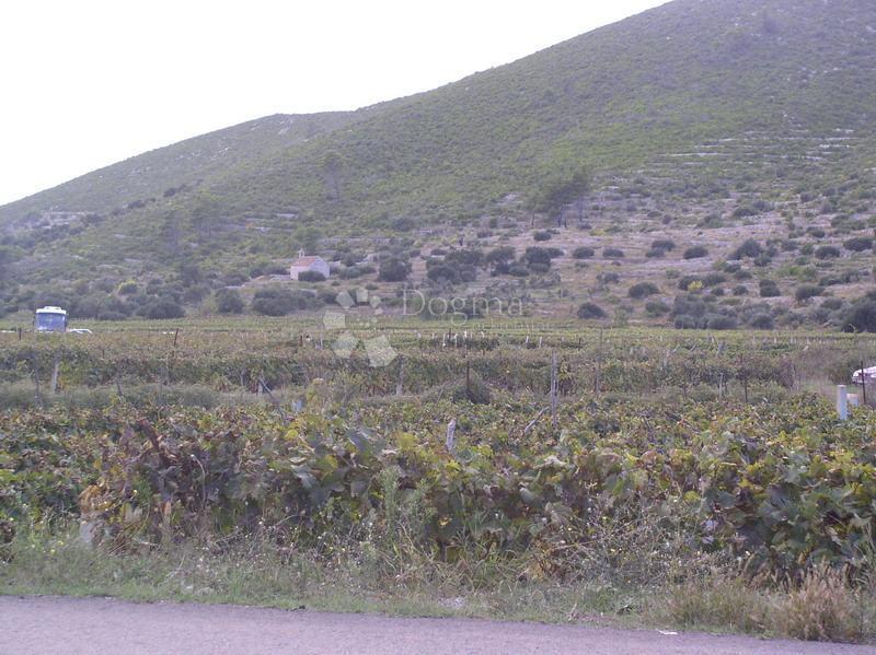 Zemljišče Brna, Smokvica, 39.541m2