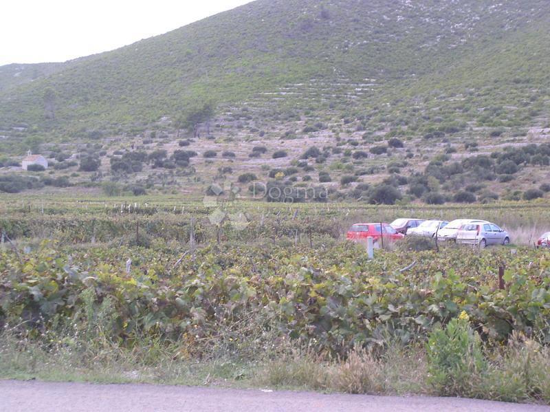 Zemljišče Brna, Smokvica, 39.541m2