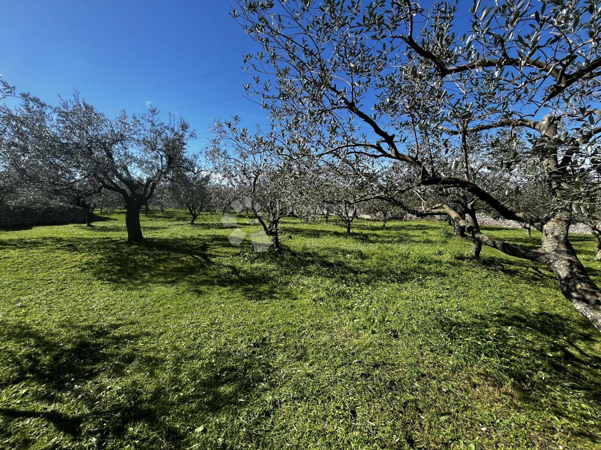Zemljišče Fažana, 2.252m2