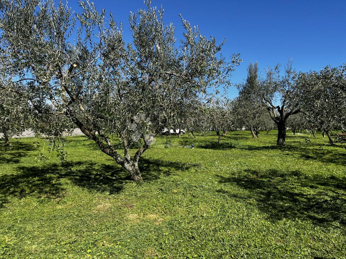 Zemljišče Fažana, 2.252m2