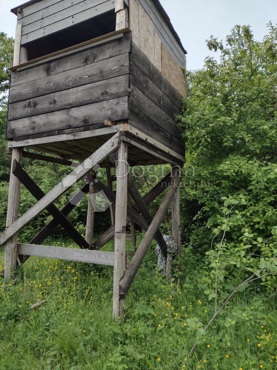 Zemljišče Dugo Selo Lasinjsko, Gvozd, 43.037m2