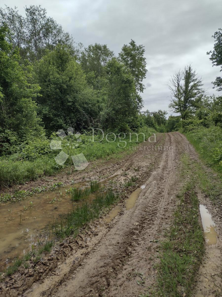 Zemljišče Dugo Selo Lasinjsko, Gvozd, 43.037m2