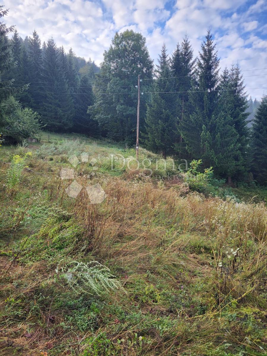 Zemljišče Stara Sušica, Ravna Gora, 6.600m2