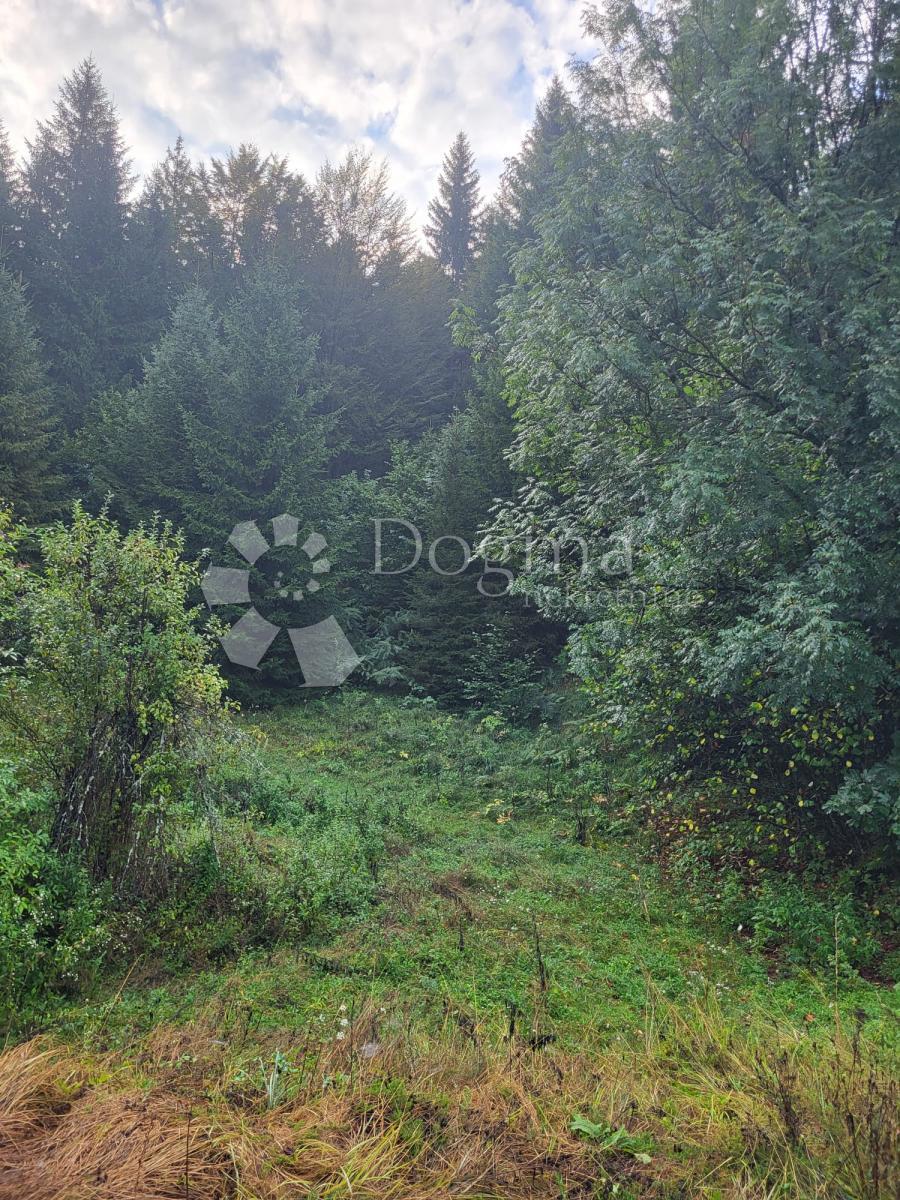 Zemljišče Stara Sušica, Ravna Gora, 6.600m2