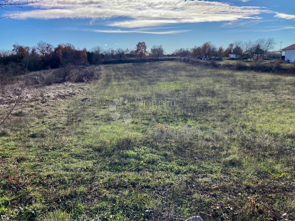 Zemljišče Kanfanar, 600m2