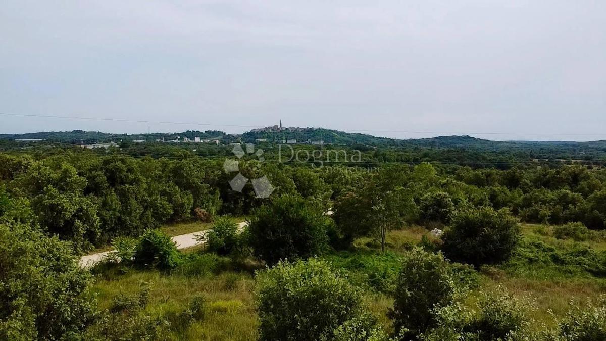 Zemljišče Buje, 1.000m2