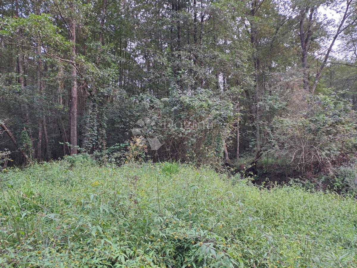 Zemljišče Batinova Kosa, Topusko, 43.000m2