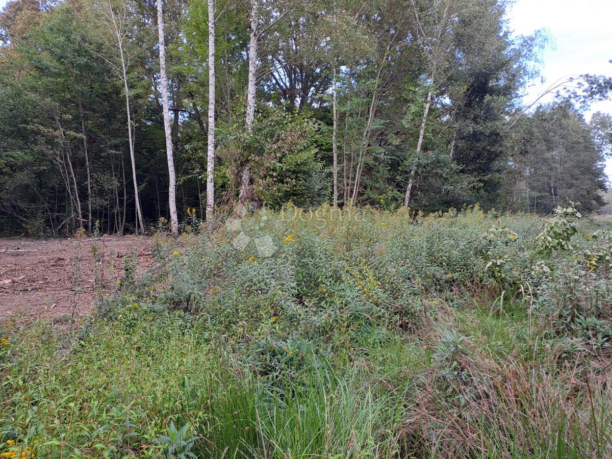 Zemljišče Batinova Kosa, Topusko, 43.000m2