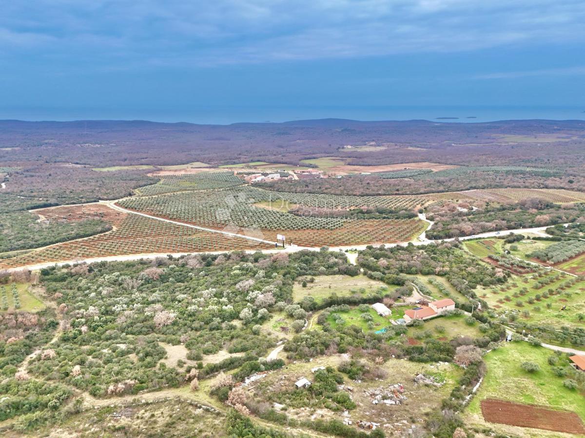 Zazidljivo zemljišče Bale, 745m2