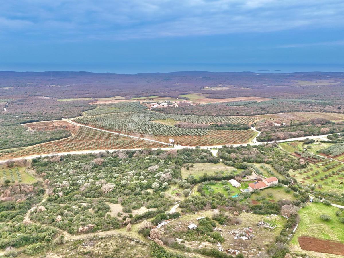 Zazidljivo zemljišče Bale, 745m2