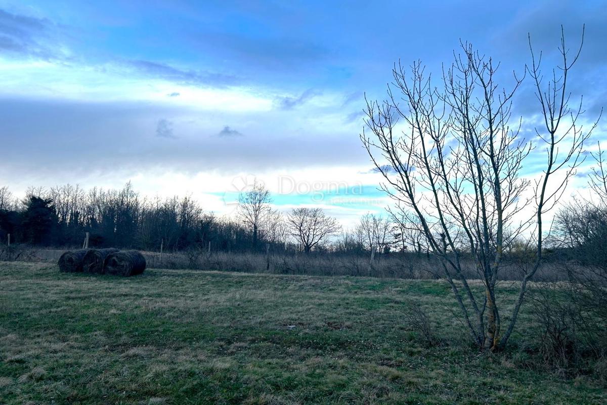Zazidljivo zemljišče Žminj, 1.100m2