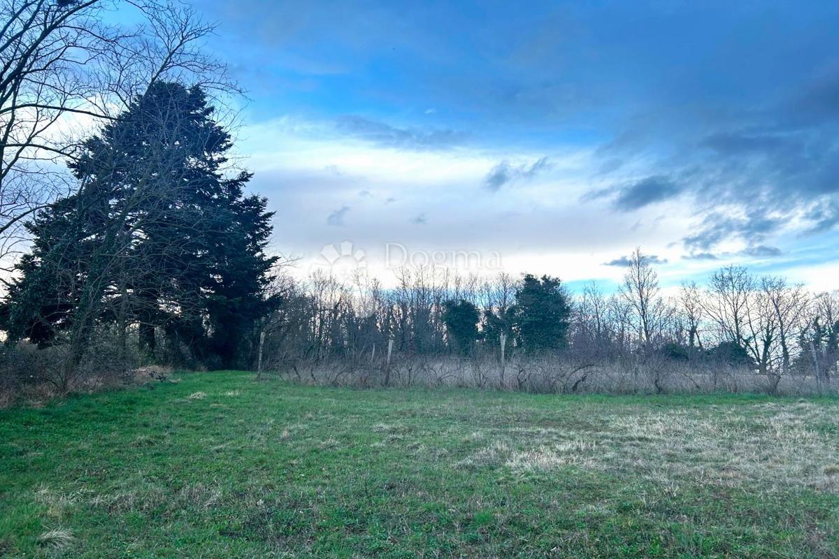 Zazidljivo zemljišče Žminj, 1.100m2