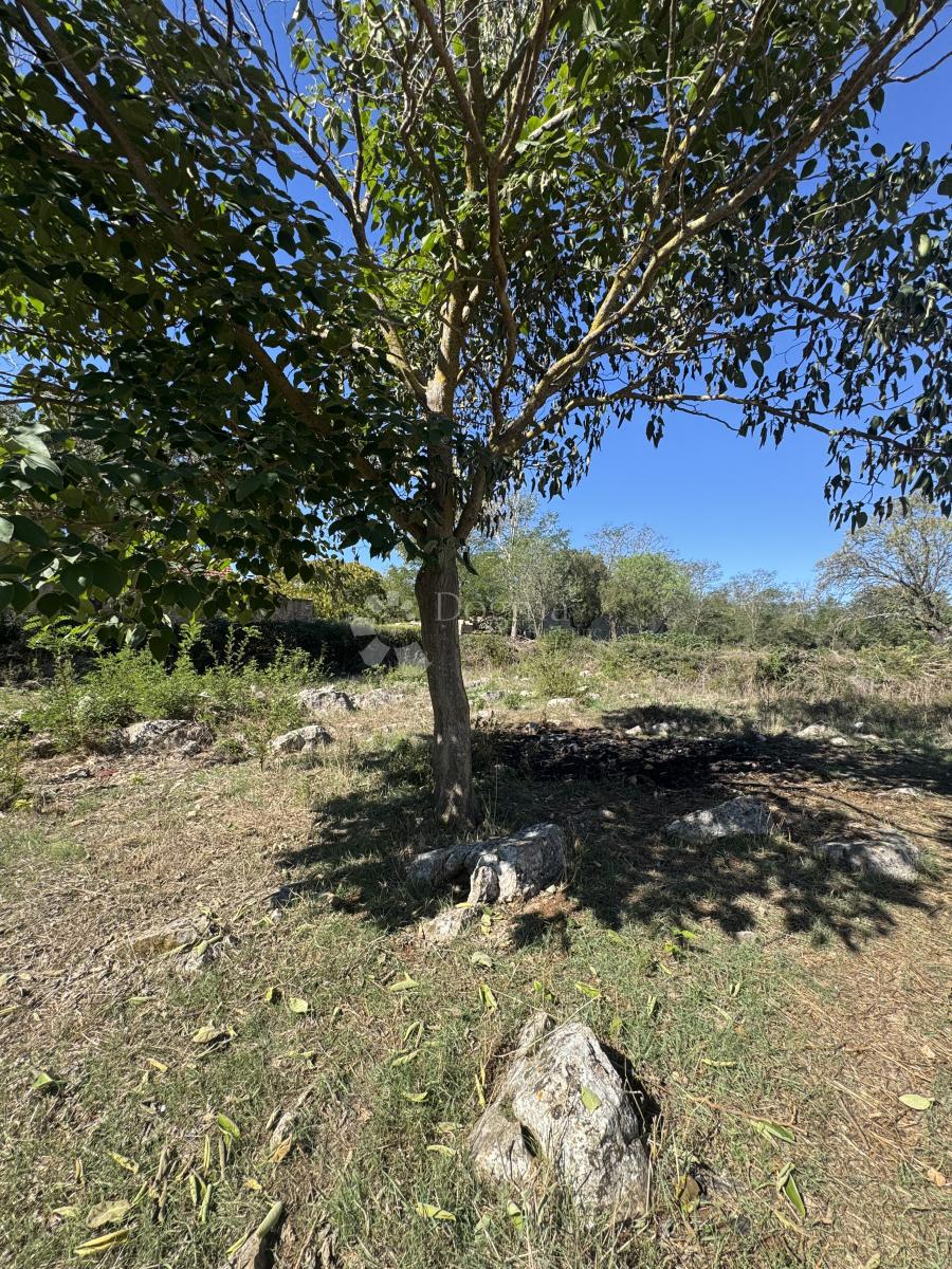 Hiša Sikovo, Sveti Filip I Jakov, 177m2