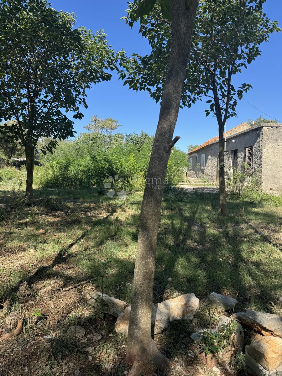 Hiša Sikovo, Sveti Filip I Jakov, 177m2