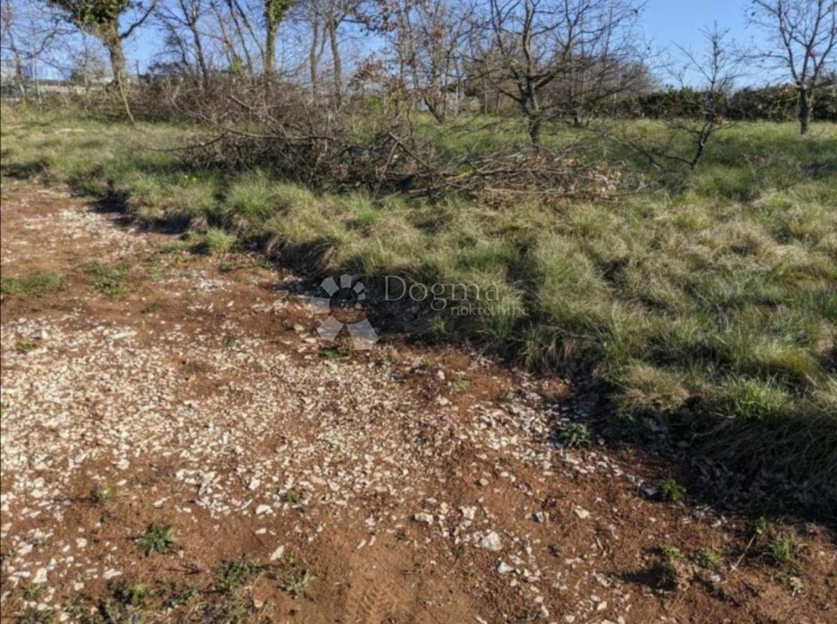 ODLIČNO ZEMLJIŠČE V MESTNEM CENTRU, 1652 m2