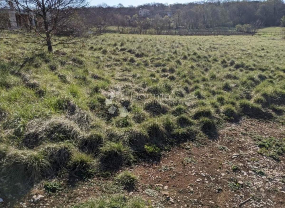 ODLIČNO ZEMLJIŠČE V MESTNEM CENTRU, 1652 m2