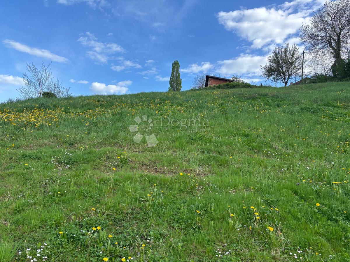 Hiša Grana, Novi Marof, 1.959m2