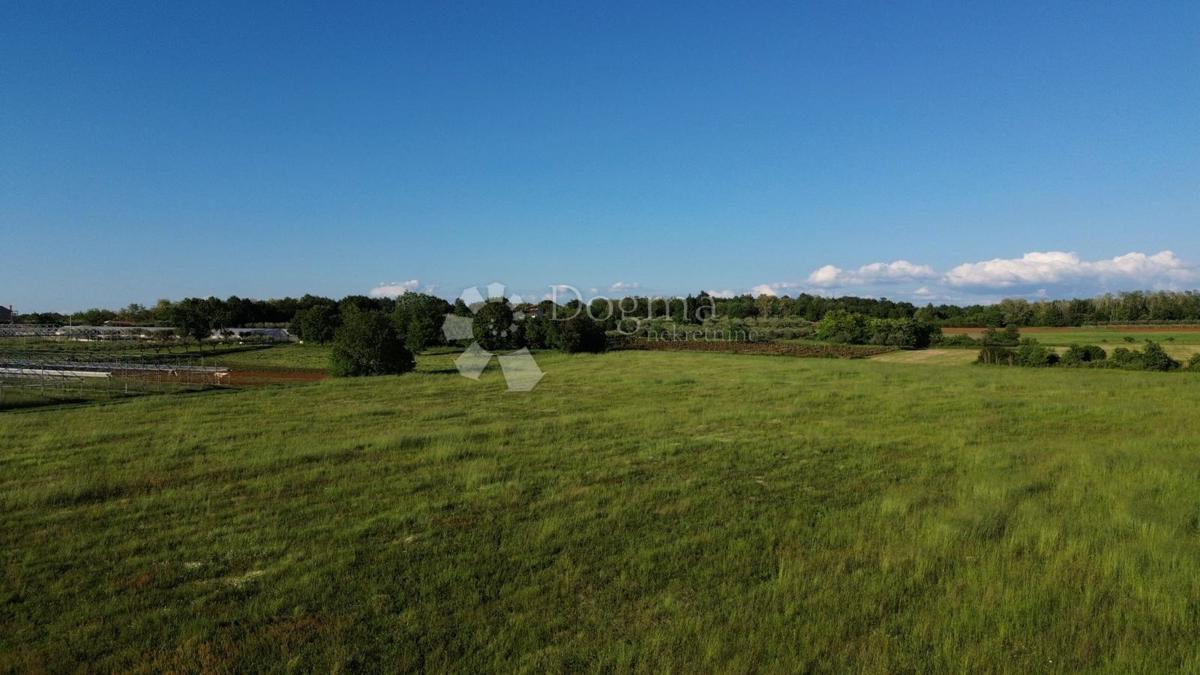 Kmetijsko zemljišče Kaštelir, Kaštelir-Labinci, 32.620m2