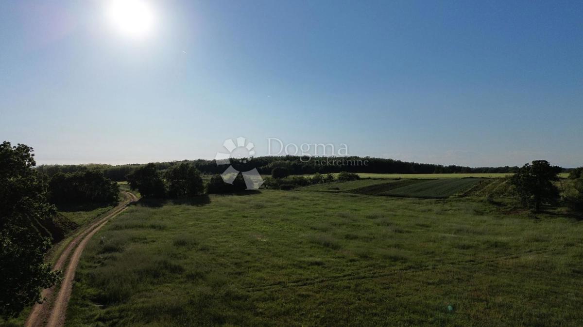 Kmetijsko zemljišče Kaštelir, Kaštelir-Labinci, 32.620m2
