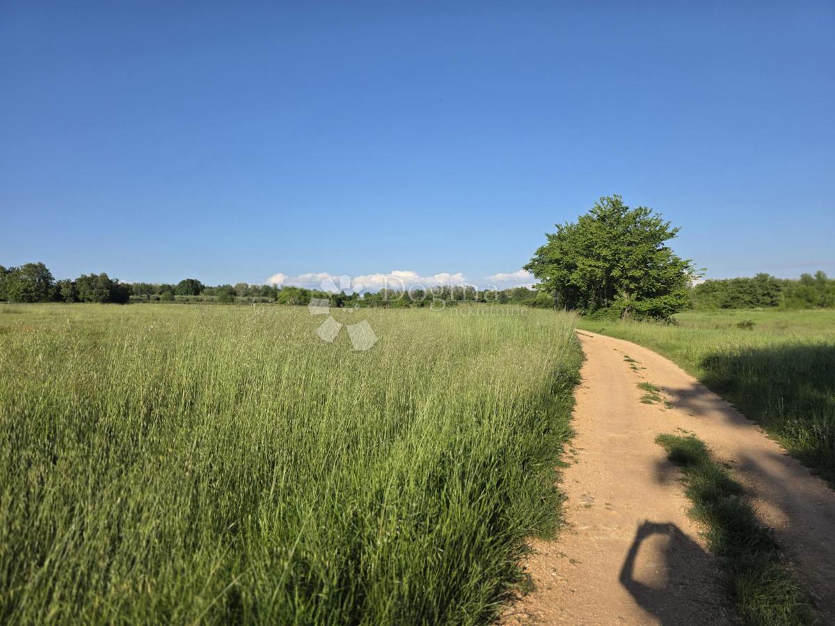 Kmetijsko zemljišče Kaštelir, Kaštelir-Labinci, 32.620m2
