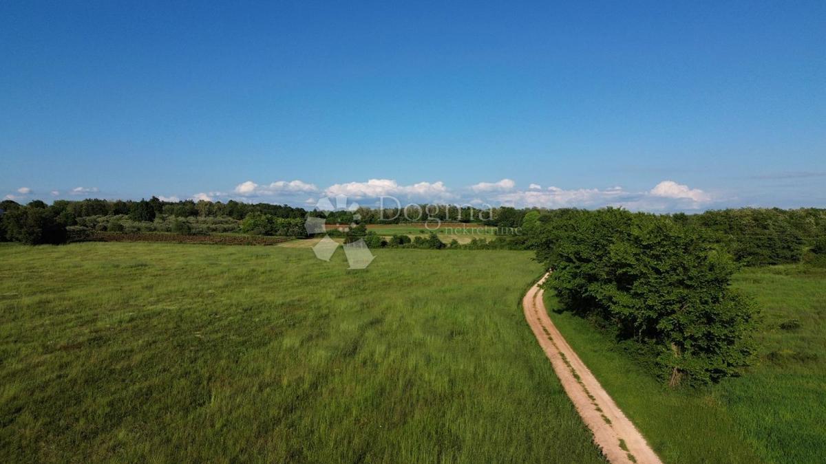 Kmetijsko zemljišče Kaštelir, Kaštelir-Labinci, 32.620m2