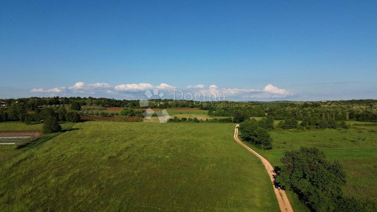 Kmetijsko zemljišče Kaštelir, Kaštelir-Labinci, 32.620m2