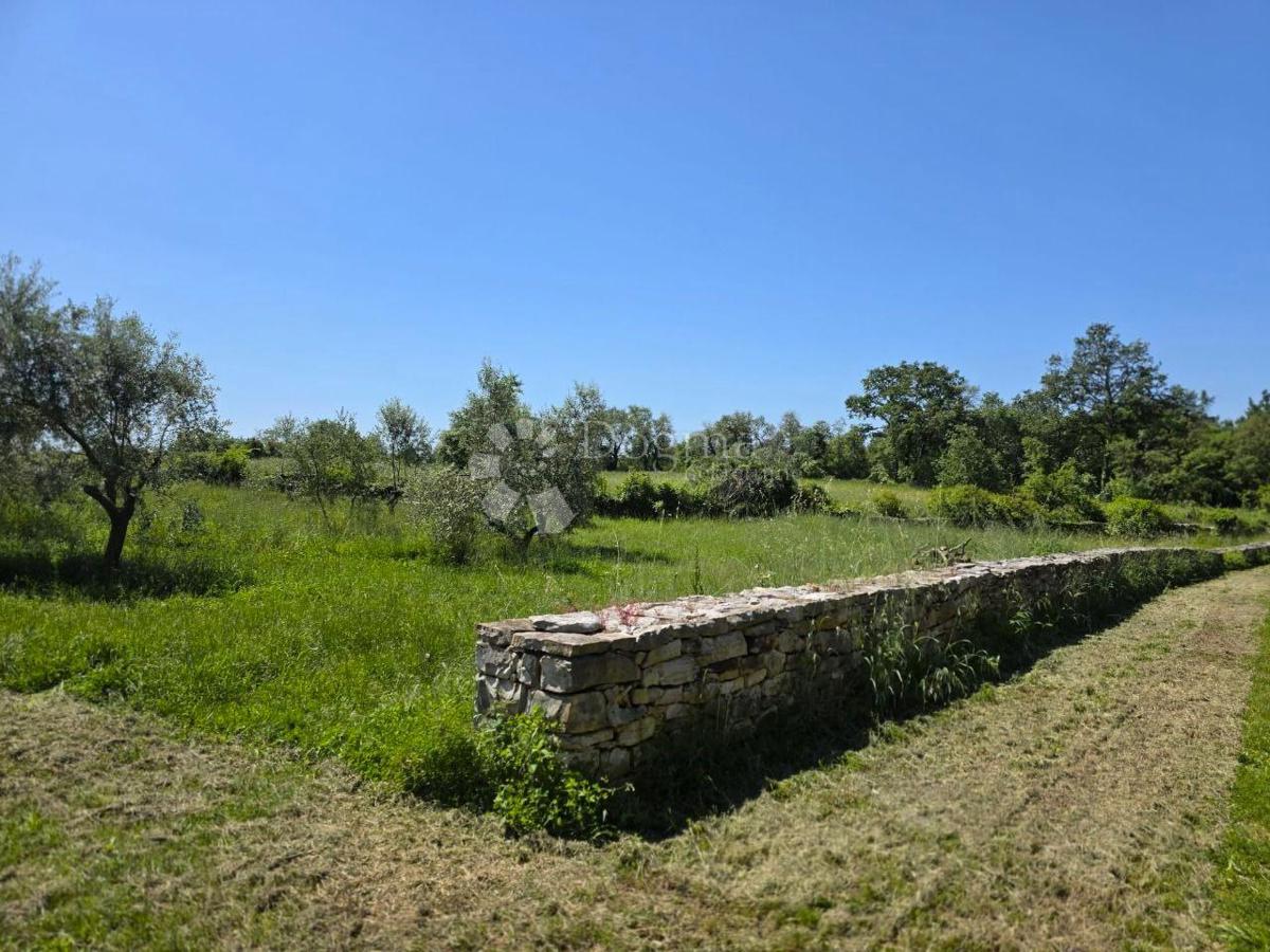 Zazidljivo zemljišče Umag, 8.056m2