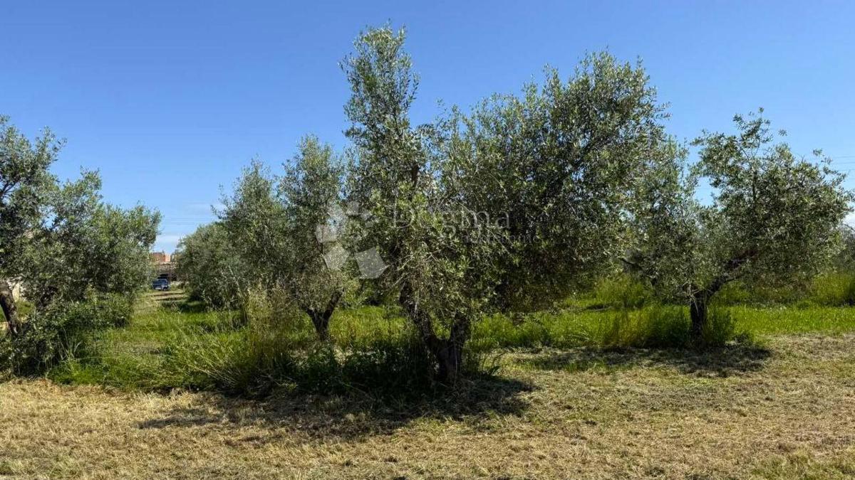Zazidljivo zemljišče Umag, 8.056m2