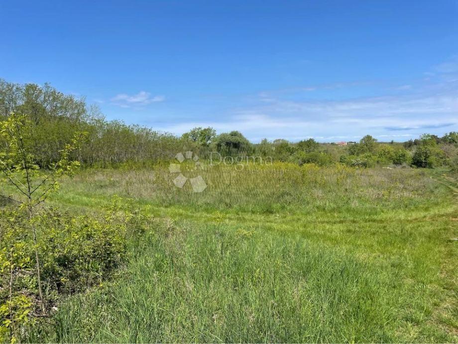 Kmetijsko zemljišče Muntić, Ližnjan, 4.362m2