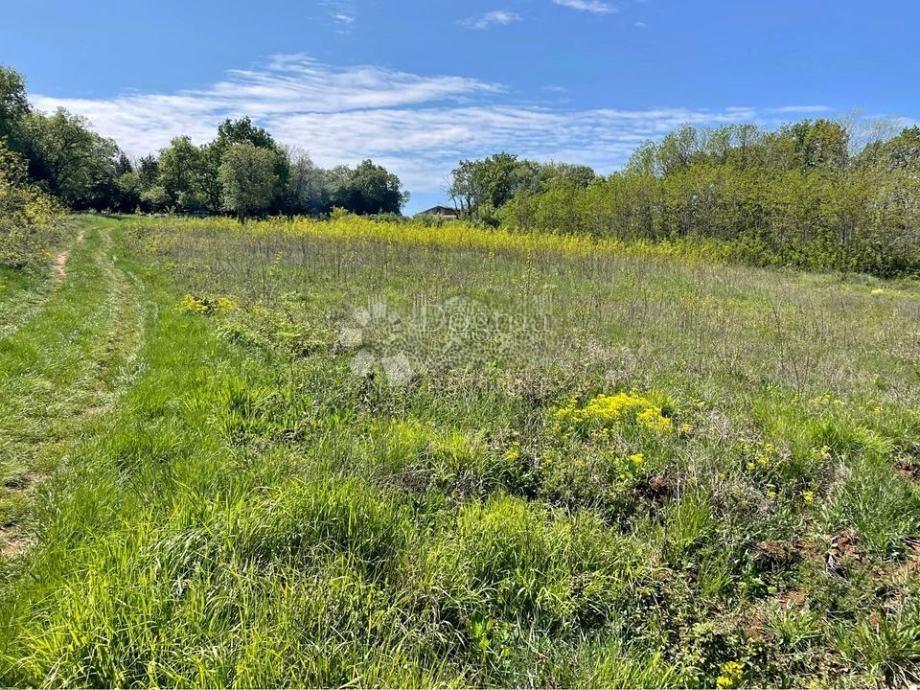 Kmetijsko zemljišče Muntić, Ližnjan, 4.362m2