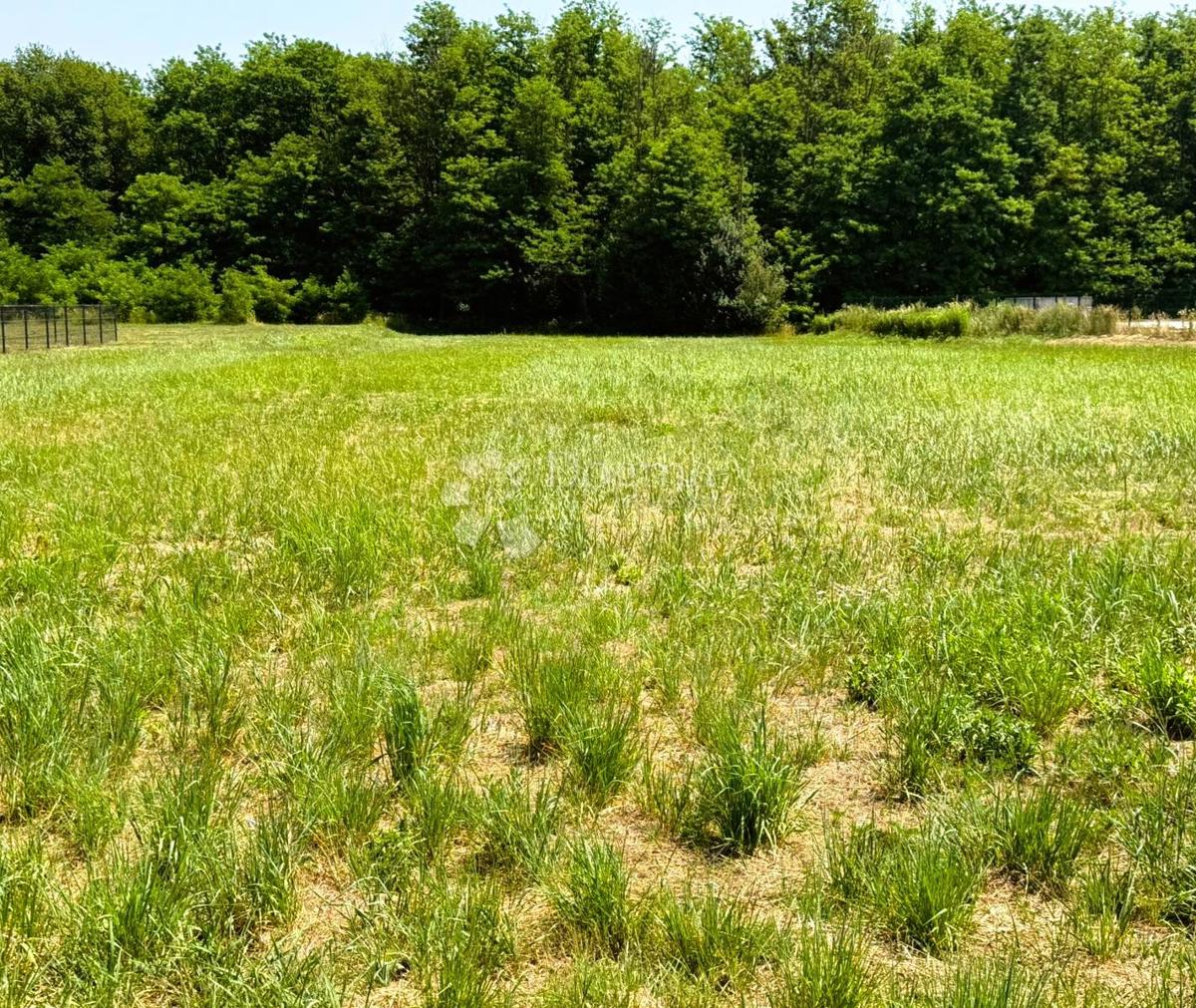 Zazidljivo zemljišče Mursko Središće, 4.030m2