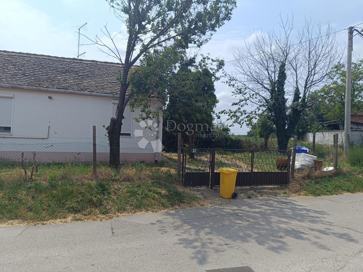 Hiša Ilok, 281m2