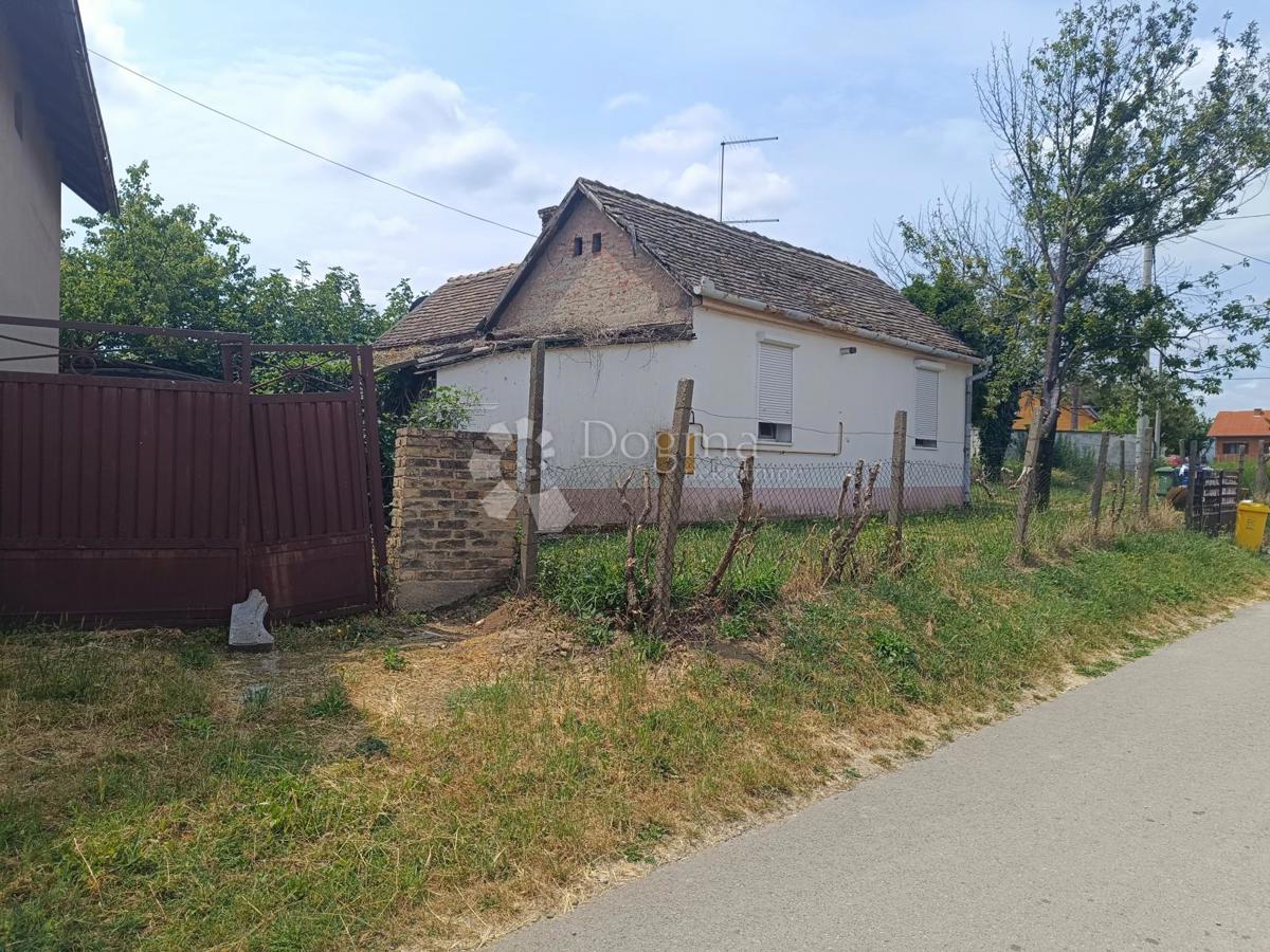 Hiša Ilok, 281m2