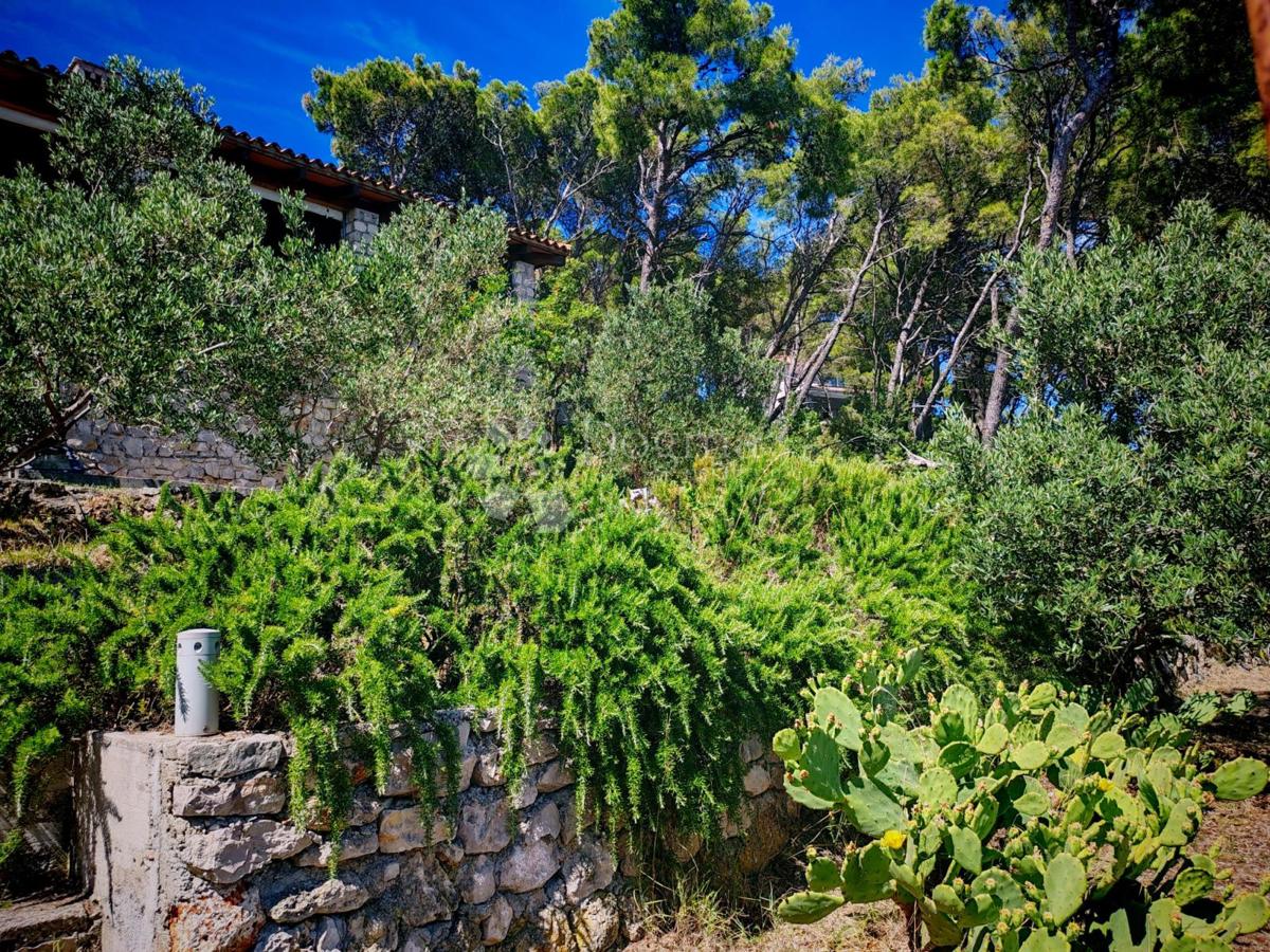 Hiša Zlarin, Šibenik - Okolica, 168m2