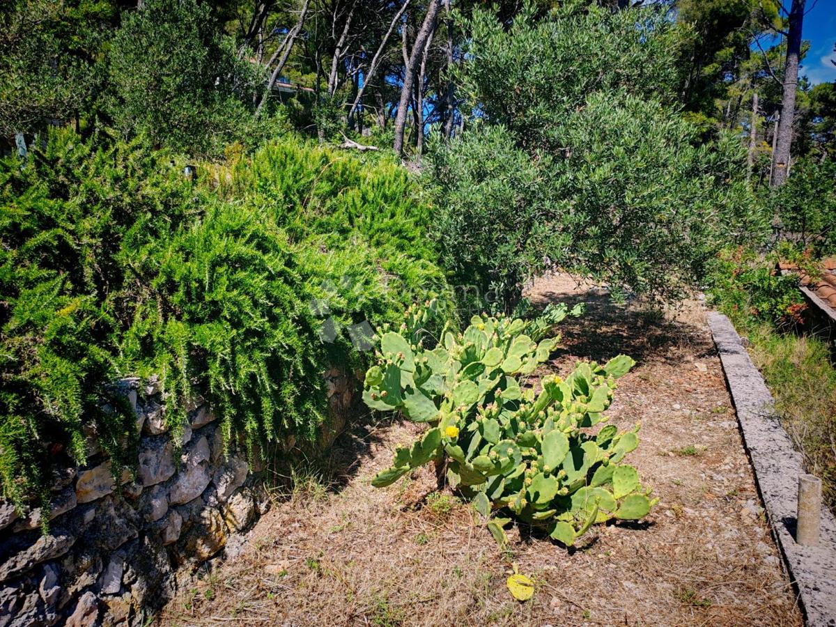 Hiša Zlarin, Šibenik - Okolica, 168m2