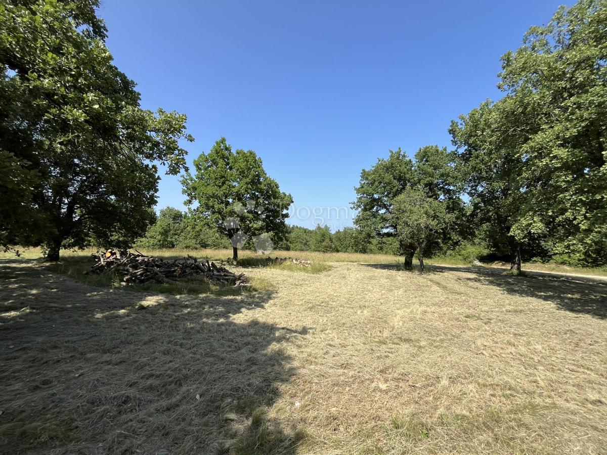 OKOLICA VIŠNJANA, ZEMLJIŠČE S PROJEKTOM ZA GRADNJO HIŠE Z BAZENOM