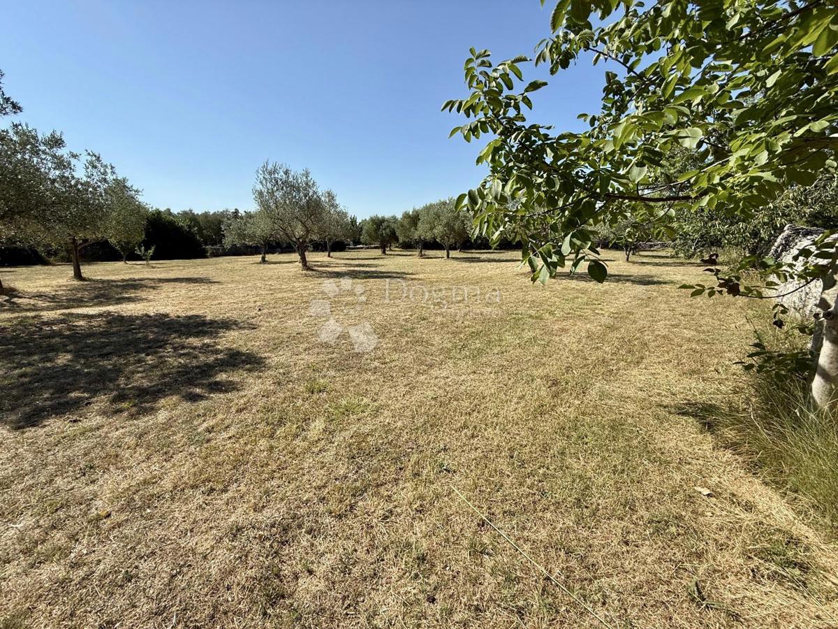Gradbeno zemljišče v bližini Vodnjana – 1022 m²