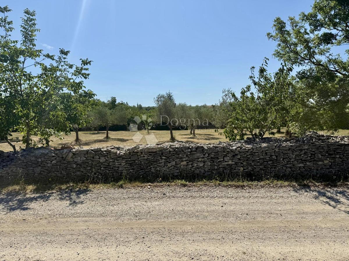 Gradbeno zemljišče v bližini Vodnjana – 1022 m²