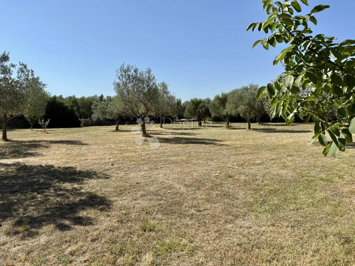 Gradbeno zemljišče v bližini Vodnjana – 1022 m²
