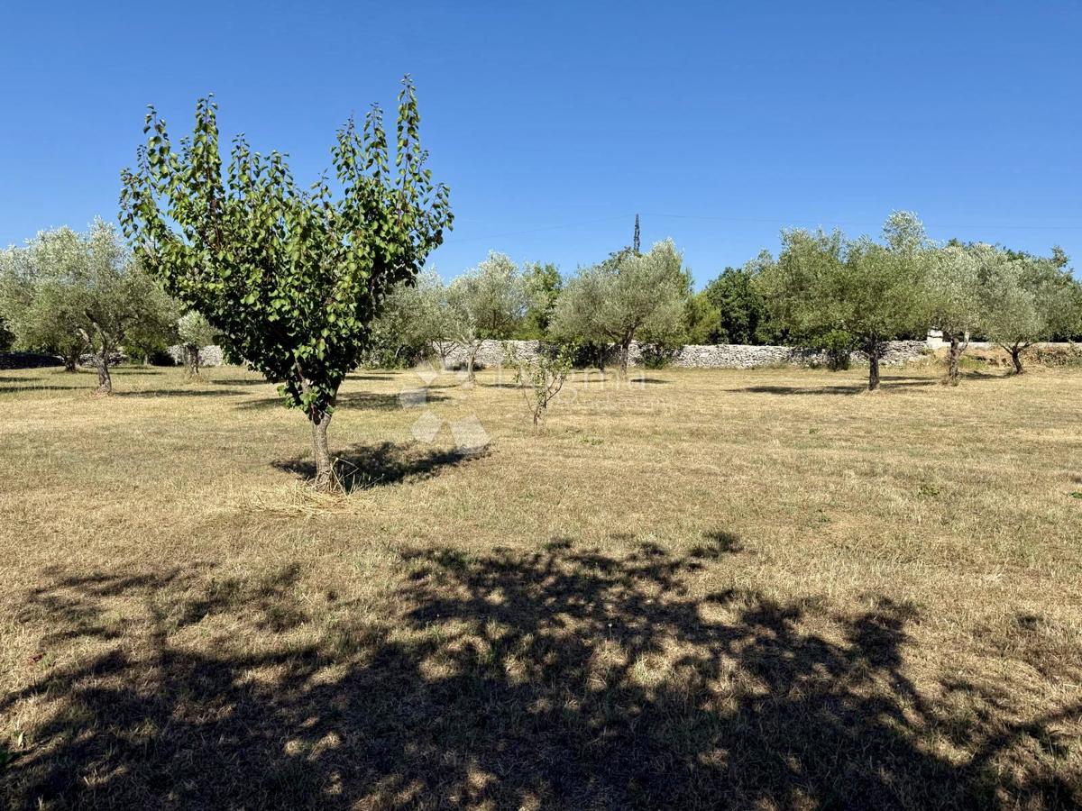 Gradbeno zemljišče v bližini Vodnjana – 1022 m²