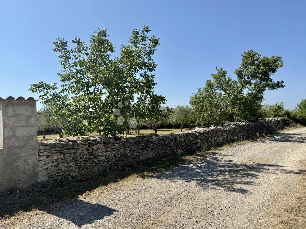 Gradbeno zemljišče v bližini Vodnjana – 1022 m²