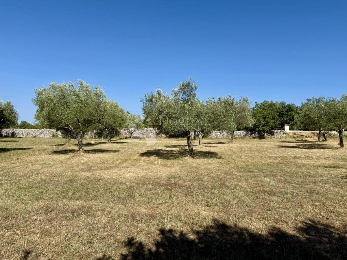 Gradbeno zemljišče v bližini Vodnjana – 1022 m²