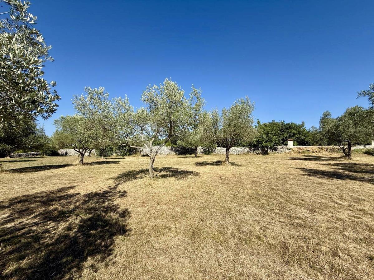 Gradbeno zemljišče v bližini Vodnjana – 1022 m²