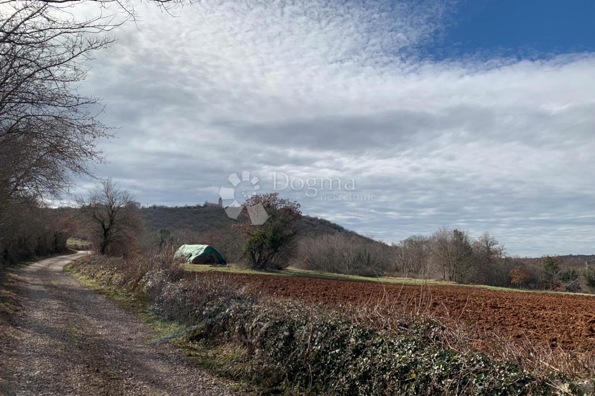 Kmetijsko zemljišče Mutvoran, Marčana, 35.128m2
