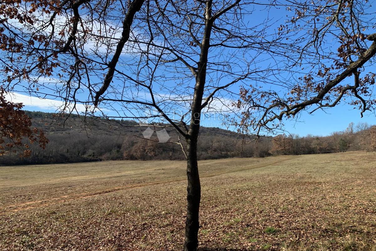 Kmetijsko zemljišče Mutvoran, Marčana, 35.128m2