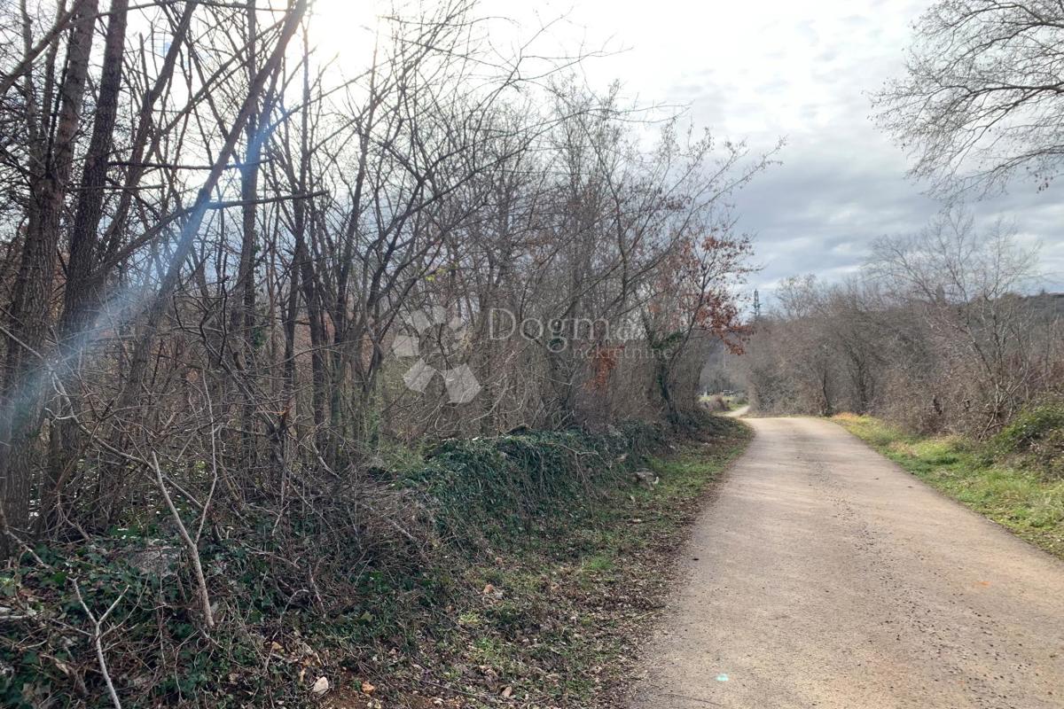 Kmetijsko zemljišče Mutvoran, Marčana, 35.128m2